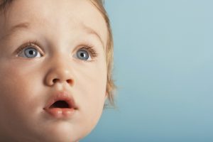 Na co pomaga babka lancetowata