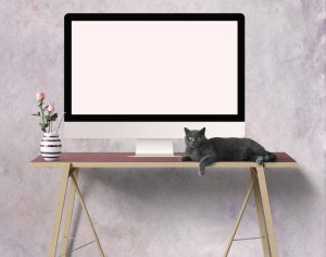 Platforma szkoleniowa